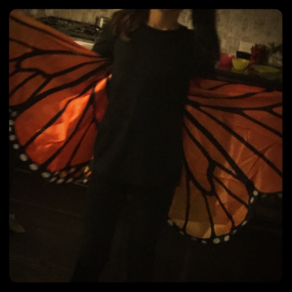 Girls Butterfly wings (one size fits all)